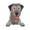 Irish Wolfhound