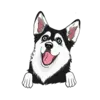 Husky 2