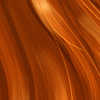Ginger