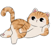 31