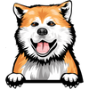 Akita  1