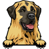 Anatolian Shepherd 2