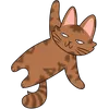 Cat_06