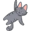 Cat_08