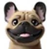 Brachycephalic Dog
