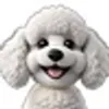 Curly-Coated Dog