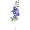 July - Larkspur