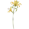 June - Honeysuckle