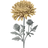 November - Chrysanthemum