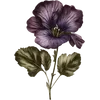 February - Violet