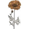 October - Marigold