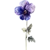 February - Violet