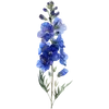 July - Larkspur