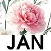 JAN