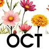 OCT