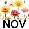 NOV