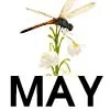 MAY