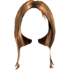 H3