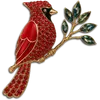 Cardinal