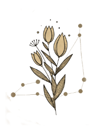 Carpricorn
