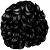 T13