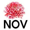 november