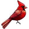 Cardinal