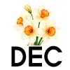 12_Dec