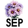 9-Sep