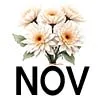 11-Nov