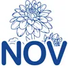 11-Nov
