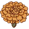 Marigold - October