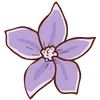 Larkspur - July