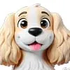 Spaniel