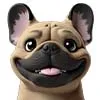 Brachycephalic Dog