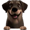 21