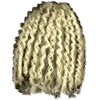 H7