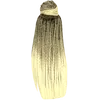 H16