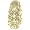 H19
