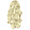 H26