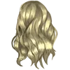 H1