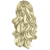 H26