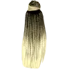 H16