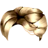 H1
