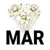 3-Mar - Narcissus