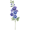 Jul - Larkspur