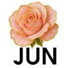 Jun - Rose