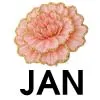 Jan - Carnation