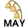 May - Valley Flower