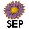 Sep - Aster